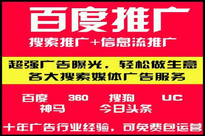 网络推广与竞价优化成功案例